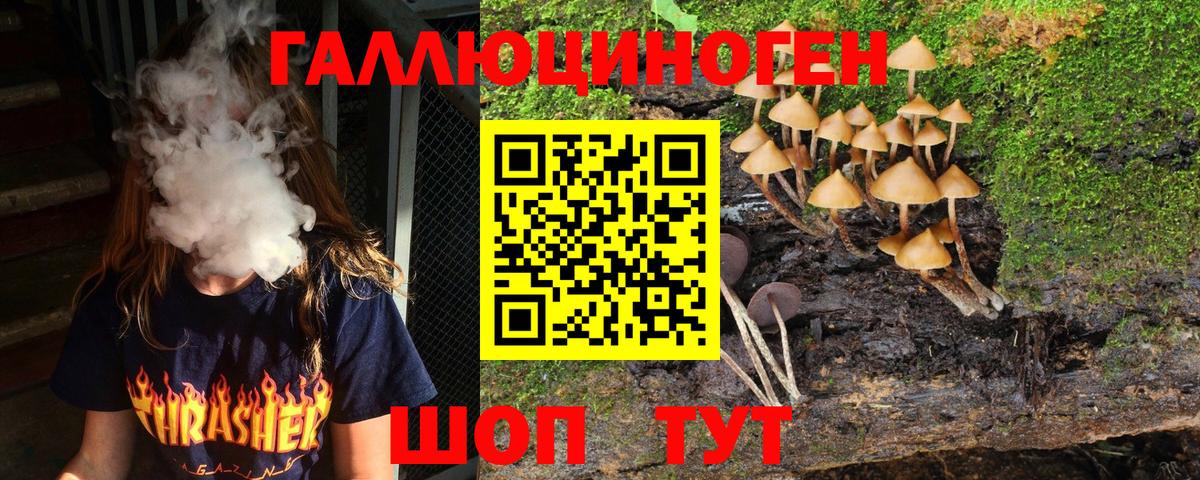Знаменск  Галлюциногенные грибы Magic Shrooms  Галлюциногенные грибы Psilocybine cubensis  Вход с VPN 